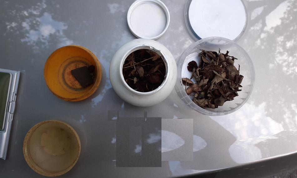 2020-9-4-938foto 3.jpg